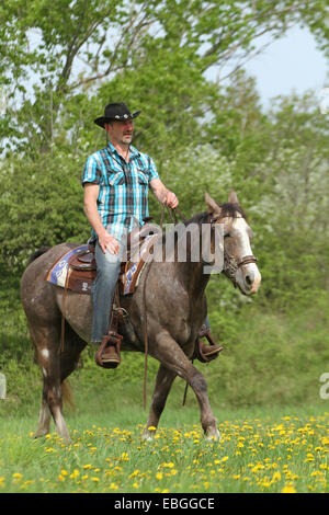 L'uomo corse American Paint Horse Foto Stock