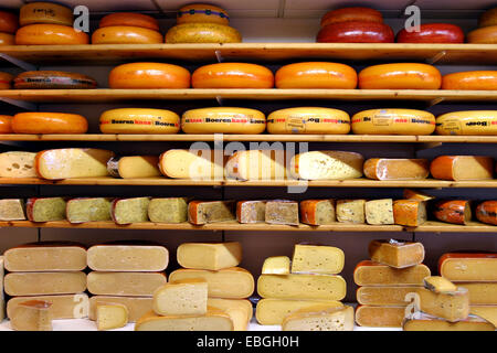 Display di formaggio in negozio, Amsterdam, Paesi Bassi Foto Stock