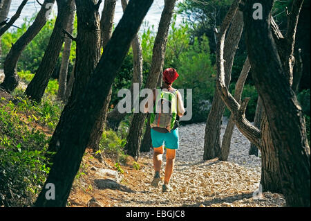 Donna trekking attraverso la foresta di pini, Francia Provenza, Calanques National Park, Marseille Cassis La Ciotat Foto Stock