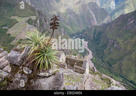 Vista da Waynapicchu a Valle di Urubamba, Perù, Aguas Calientes Foto Stock