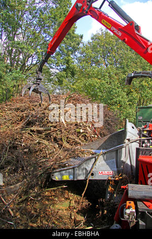 Trituratore legno, Germania Foto Stock