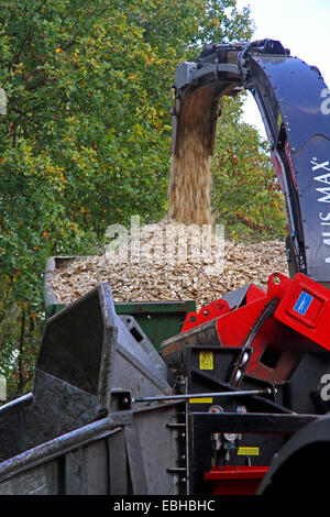 Trituratore legno, Germania Foto Stock