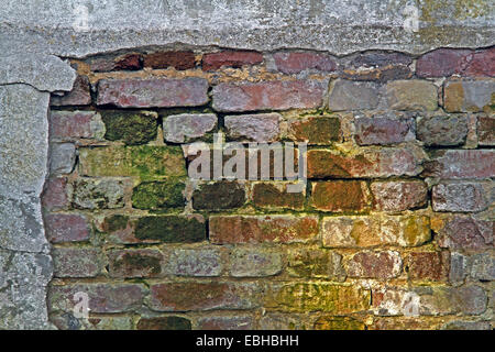 Scheggiati off intonaco su weathered muro di pietra, Germania Foto Stock