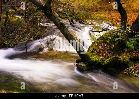 Acqua bella molle in Vevcani, Europa, Macedonia Foto Stock