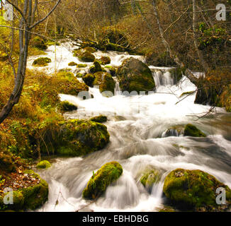 Verde vivace cascata molle in Vevchani, Macedonia Foto Stock