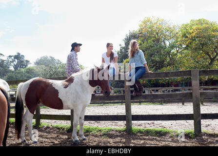 Equitazione, Pakiri Beach, Auckland, Nuova Zelanda Foto Stock