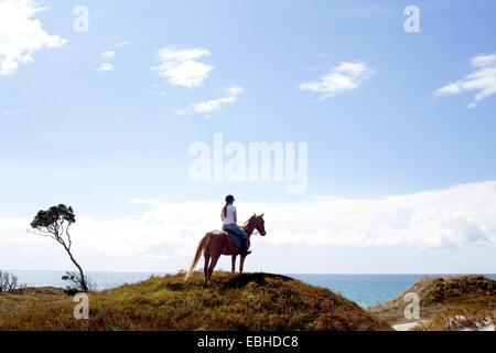 Cavaliere a cavallo sulla collina, Pakiri Beach, Auckland, Nuova Zelanda Foto Stock