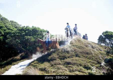 Equitazione, Pakiri Beach, Auckland, Nuova Zelanda Foto Stock