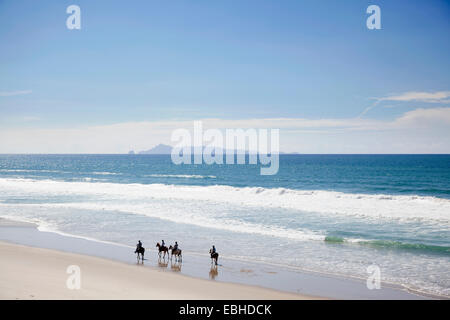 Equitazione, Pakiri Beach, Auckland, Nuova Zelanda Foto Stock