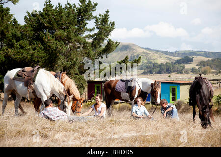 Piloti del cavallino tenendo break sull'erba, Pakiri Beach, Auckland, Nuova Zelanda Foto Stock