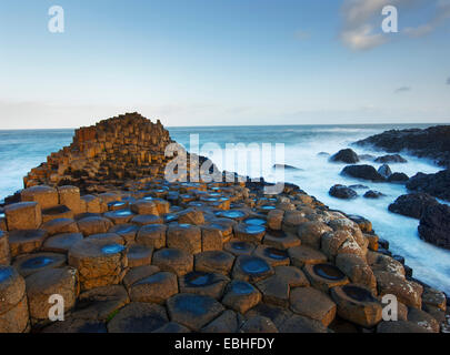 Giants Causeway, County Antrim, Irlanda del Nord Foto Stock