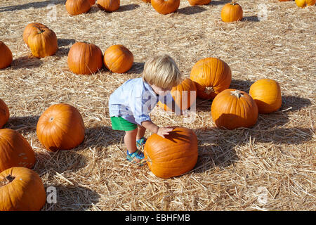 Ragazzo giocando con la zucca Foto Stock