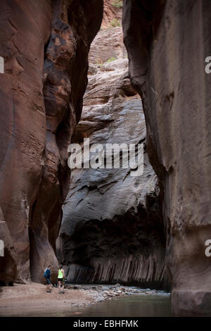 Il sentiero si restringe, Parco Nazionale Zion, Utah, Stati Uniti d'America Foto Stock