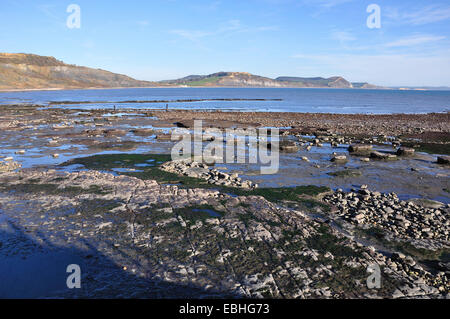 La bassa marea ad ampio risalto, Lyme Regis. Golden Cap in distanza Foto Stock