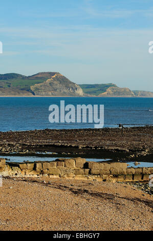 La bassa marea ad ampio risalto, Lyme Regis. Golden Cap in distanza Foto Stock