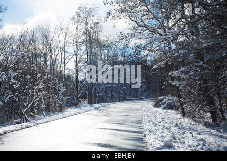 Il sole invernale di riflessi sulla parte superiore nera su strada attraverso un innevato sezione rurale del Berkshires nel Massachusetts. Foto Stock