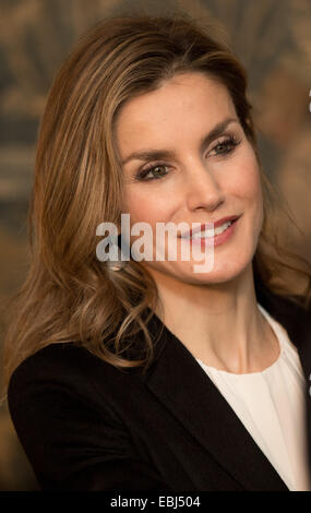 Berlino, Germania. 01 dic 2014. Regina spagnola Letizia ospita un ricevimento presso la sede dell' ambasciata di Spagna a Berlino, Germania, 01 dicembre 2014. Foto: JOERG CARSTENSEN/dpa/Alamy Live News Foto Stock