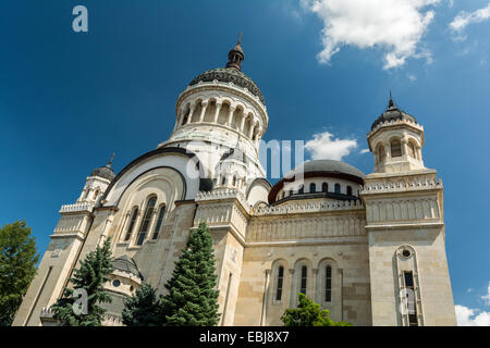 La dormizione della Theotokos Cattedrale (Catedrala Adormirea Maicii Domnului) fu costruito nel 1923 in Cluj Napoca, Romania e stato Foto Stock