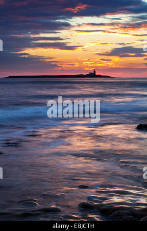 Luce sul mare e Coquet Island all'alba camminare sul mare Northumberland Coast Inghilterra Foto Stock