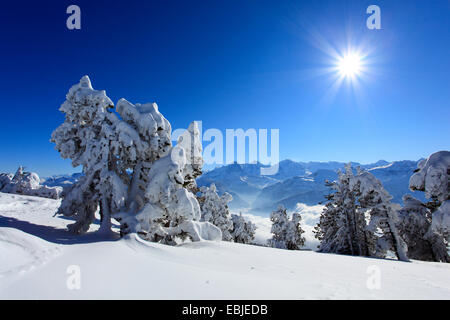 Vista da Niederhorn a Dreigestirn, Eiger, Moench e Jungfrau, Svizzera, Alpi bernesi Foto Stock