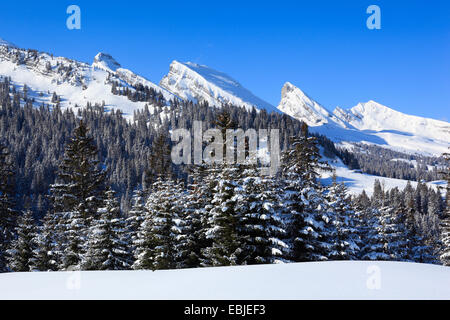 Churfirsten mountain range in inverno, Svizzera Toggenburg Foto Stock
