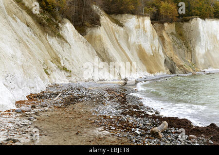 Vista lungo la costa di gesso, Germania, Meclemburgo-Pomerania, Ruegen, Nationalpark Jasmund Foto Stock