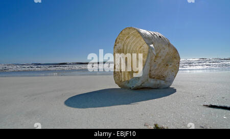 Rifiuti di plastica su una spiaggia balneare, Spagna, Balearen, Maiorca, Es Trenc Foto Stock