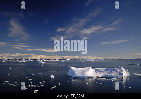 Iceberg sul mare di Weddell nel "Larsen un' area con la costa della penisola in background, Antartide Foto Stock