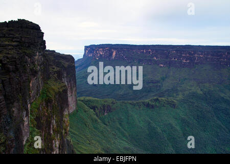 Mesas Monte Roraima (sinistra) e Kukenam Tepui (retro) visto da La Ventana, Venezuela, il Parco Nazionale di Canaima Foto Stock