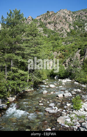 Asco river, Francia, Corsica Foto Stock