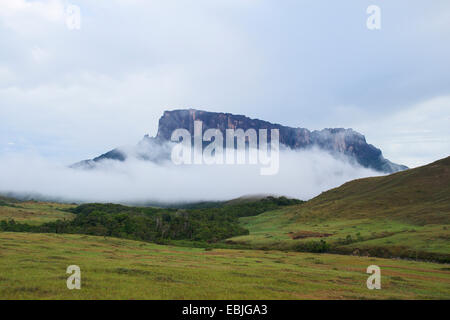 Kukenan Tepui, Venezuela, il Parco Nazionale di Canaima Foto Stock