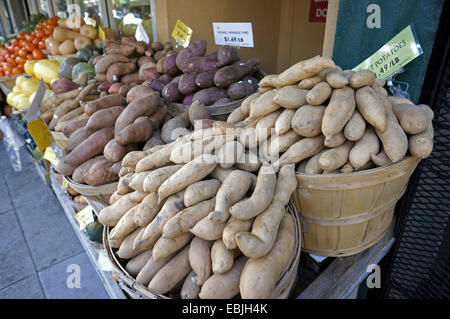 Stand di vendita con diversi tipi di patate, Stati Uniti, California Foto Stock