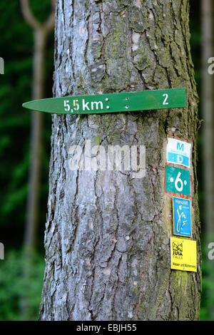 Segnaletica in corrispondenza di un albero, in Germania, in Baviera, Oberpfalz Foto Stock