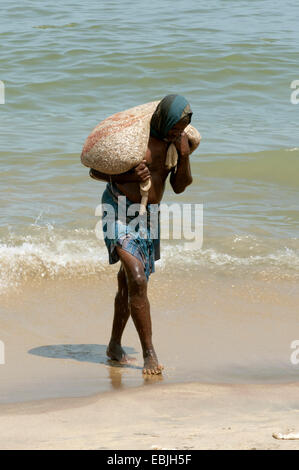 Fisher che porta un sacco di pesce, Sri Lanka, Negombo Foto Stock