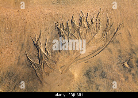 Pattern in sabbia a bassa marea, Isole Canarie Fuerteventura, Sotavento Foto Stock