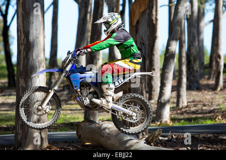 Giovane maschio motocross racer salto sulla parte superiore dei registri di foresta Foto Stock