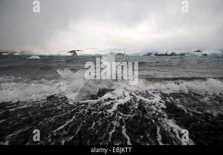Sull'isola King George in condizioni di terreno accidentato, Antartide, sull'isola King George Foto Stock