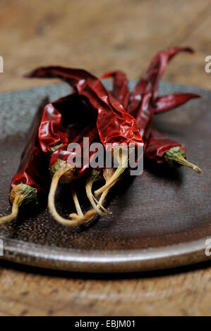 Secchi peperoncino rosso su una piastra, close-up Foto Stock