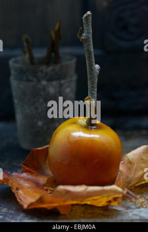 Appena sfornati toffee apple, close-up Foto Stock