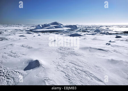 Iceberg antartico campo con cielo blu, Antartide Foto Stock