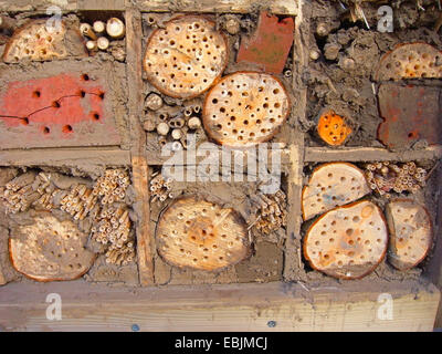 Hotel di insetto per api selvatiche, Germania Foto Stock