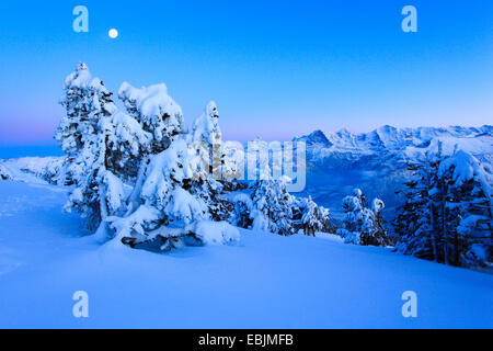 Vista panoramica dalla coperta di neve Niederhorn nella luce della sera con il triumvirato di Eiger (3970 m), Moench (4107 m) und Jungfrau (4158 m), Svizzera, Oberland bernese, Alpi bernesi Foto Stock