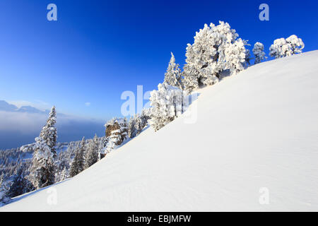 Vista panoramica dalla coperta di neve Niederhorn, Svizzera Oberland Bernese, Alpi bernesi Foto Stock