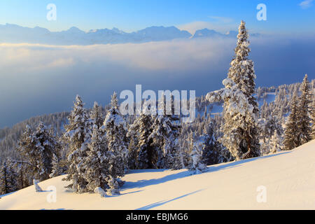 Vista panoramica dalla coperta di neve Niederhorn, Svizzera Oberland Bernese, Alpi bernesi Foto Stock