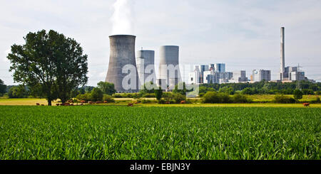 La stazione di potenza Westfalen in Hamm, Germania, Renania settentrionale-Vestfalia, la zona della Ruhr, Hamm Foto Stock