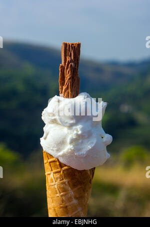 " 99 " ice-gelato alla crema con scaglie di cioccolato, di fronte al verde della campagna, estate Foto Stock