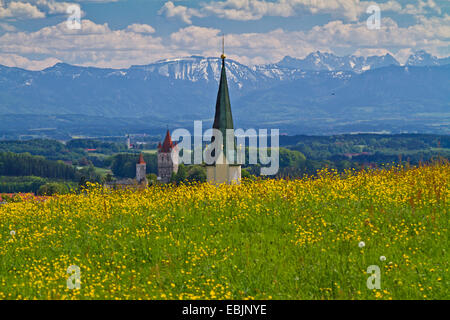 Prealpi, vista su fiore maedow, la chiesa e il castello di Alpi, in Germania, in Baviera, Haag Foto Stock
