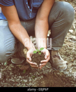 Ritagliato colpo di giovane maschio l'agricoltore che detiene il suolo e la piantina, Premosello, Provincia di Verbania, Piemonte, Italia Foto Stock