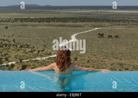 Donna guardando gli elefanti dalla piscina a sfioro di dolomite camp, il Parco Nazionale di Etosha, Namibia Foto Stock