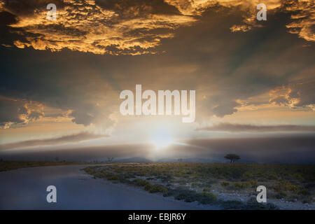 Strada di sunrise, il Parco Nazionale di Etosha, Namibia Foto Stock